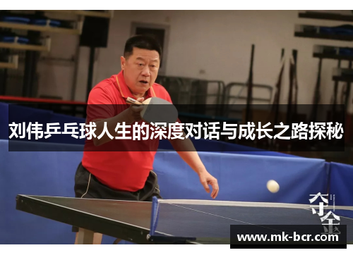 刘伟乒乓球人生的深度对话与成长之路探秘